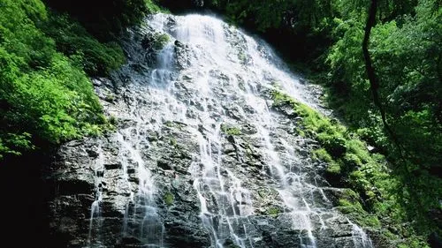智能系统先进